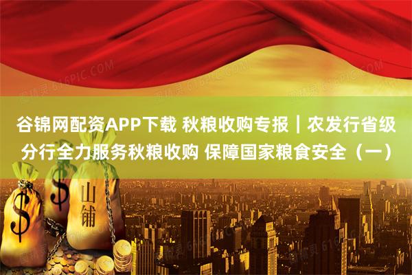 谷锦网配资APP下载 秋粮收购专报︱农发行省级分行全力服务秋粮收购 保障国家粮食安全（一）