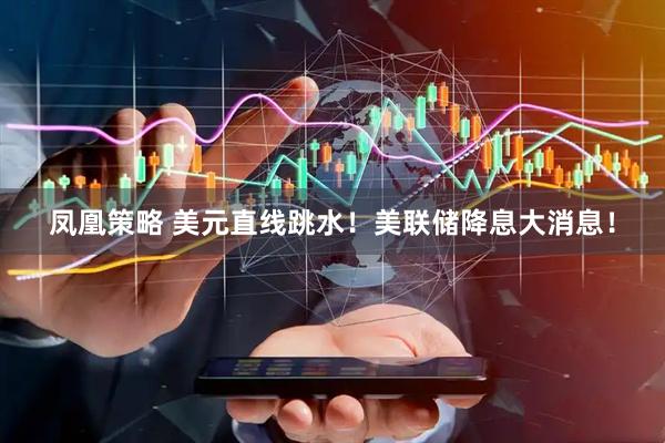 凤凰策略 美元直线跳水！美联储降息大消息！