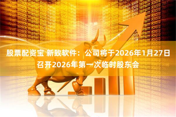 股票配资宝 新致软件：公司将于2026年1月27日召开2026年第一次临时股东会
