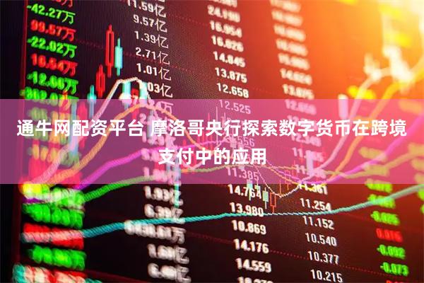 通牛网配资平台 摩洛哥央行探索数字货币在跨境支付中的应用
