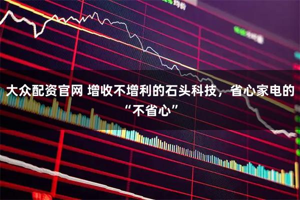 大众配资官网 增收不增利的石头科技，省心家电的“不省心”